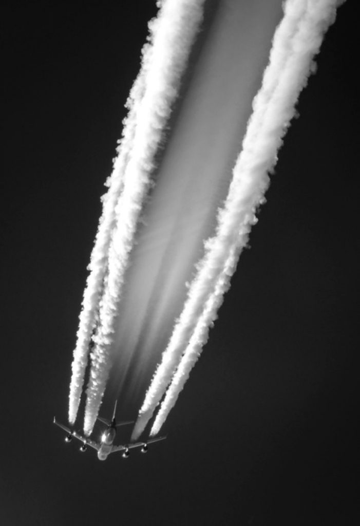 tumblr_n2r5ca9qsh1qkegsbo1_500